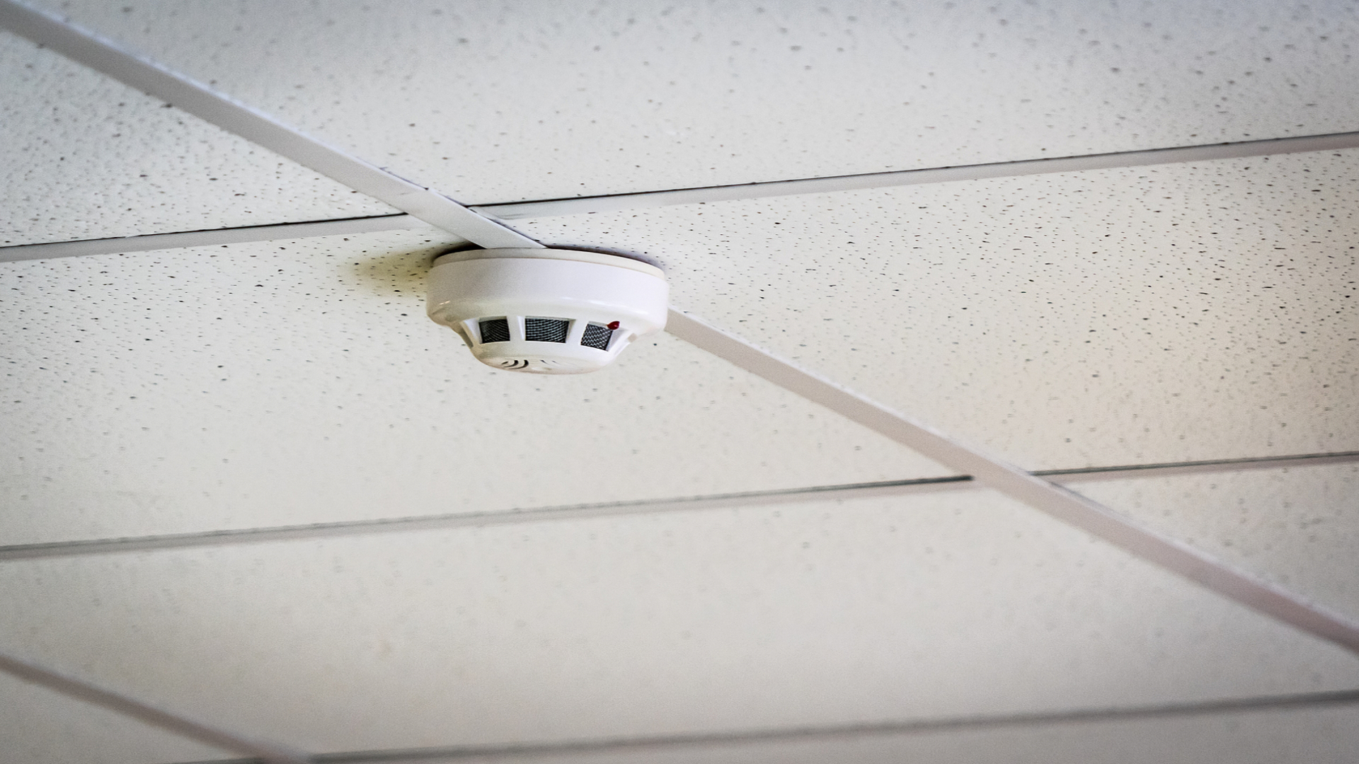 ราคา Heat Detector